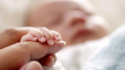 چند نوزاد در جنگ ۱۲ روزه متولد شدند؟