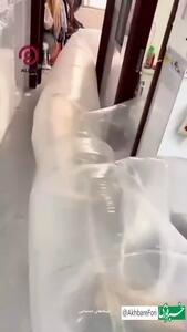 ابتکار یک خانواده در استفاده از پنکه