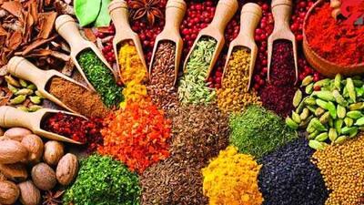 برای هر غذا چه ادویه اضافه کنیم!+ فیلم
