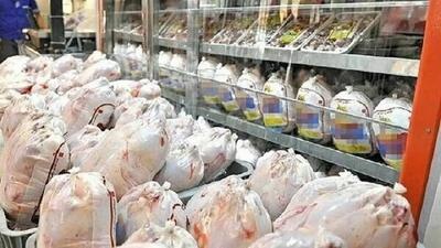تامین و تولید مرغ مازندران در سراسر کشور