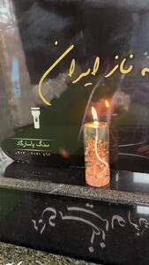 ببینید؛ شعرخوانی پرویز پرستویی برای الهه حسین‌نژاد