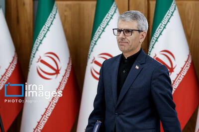 بقائی: برای شرکت در اجلاس سران کشورهای عضو ‎بریکس وارد ریو دو ژانیرو (‎برزیل) شدیم