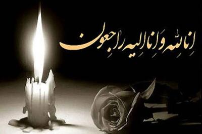 امیر ابوطالب در گذشت