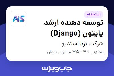 استخدام توسعه دهنده ارشد پایتون (Django) در شرکت نرد استدیو