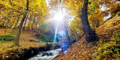 پیش بینی هوای فارس فردا دوشنبه 16 تیر/ آسمان صاف و ماندگاری هوای گرم
