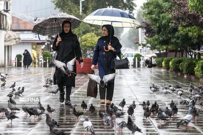 هشدار: رگبار، رعد و برق و گرد و خاک در راه است