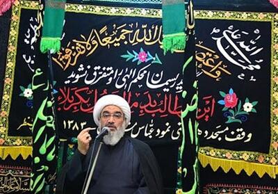 جریان کربلا مدرسه آسمانی برای آموختن اسلام ناب است - تسنیم
