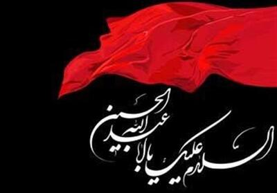 تاریخ بشریت پس از کربلا یک‌سره حسین را فریاد کشید - تسنیم