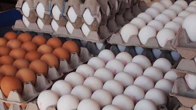 قیمت هر شانه تخم مرغ برای مصرف کننده ۱۷۰ هزارتومان