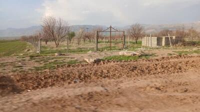 شناسایی ۵ فقره تغییر کاربری غیرمجاز مزارع درگلوگاه
