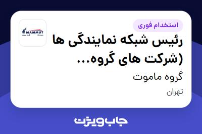 استخدام رئیس شبکه نمایندگی ها (شرکت های گروه ماموت) - آقا در گروه ماموت