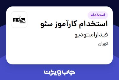 استخدام استخدام کارآموز سئو در فیداراستودیو