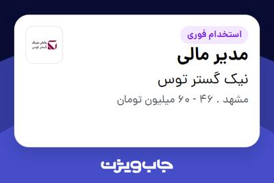 استخدام مدیر مالی در نیک گستر توس