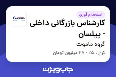 استخدام کارشناس بازرگانی داخلی - پیلسان در گروه ماموت
