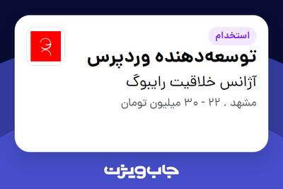 استخدام توسعه‌دهنده وردپرس در آژانس خلاقیت رایبوگ