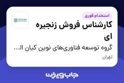 استخدام کارشناس فروش زنجیره ای در گروه توسعه فناوری‌های نوین کیان الماس مهر (فنکام)