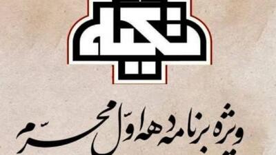 یازدهمین شب «تکیه» در شبکه افق