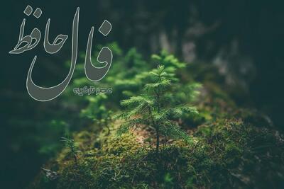 فال حافظ 17 تیر 1404: حس اعتماد به نفس خود را تقویت کن