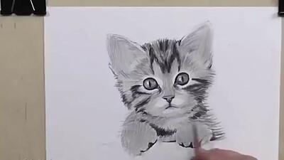 آموزش نقاشی گربه به صورت حرفه ای
