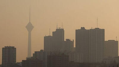 زردچوبه، هندوانه و کلم؛ قهرمانان گمنام روزهای آلوده