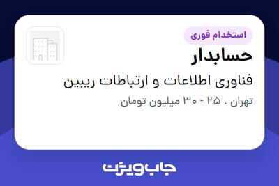 استخدام حسابدار در فناوری اطلاعات و ارتباطات ریبین