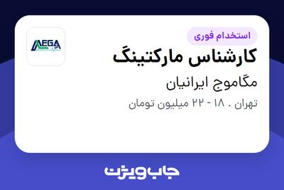 استخدام کارشناس مارکتینگ در مگاموج ایرانیان