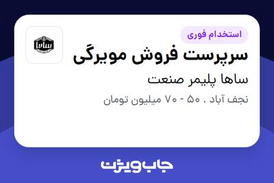 استخدام سرپرست فروش مویرگی در ساها پلیمر صنعت