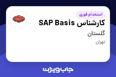 استخدام کارشناس SAP Basis در گلستان