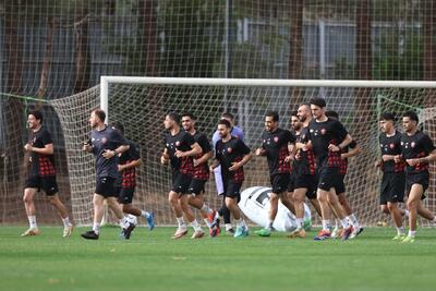 مربی هامبورگ پرسپولیسی می‌شود - پارس فوتبال