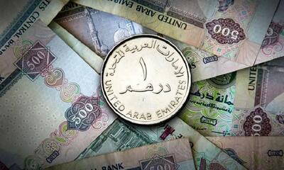 بروزترین قیمت درهم امارات امروز سه شنبه ۱۷ تیر ماه ۱۴۰۴ اعلام شد