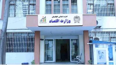 تشکیل کمیته های تخصصی برای کمک به مهاجرین بازگشته