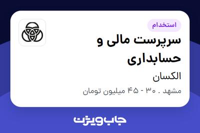 استخدام سرپرست مالی و حسابداری در الکسان