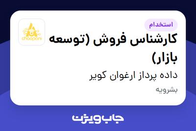 استخدام کارشناس فروش (توسعه بازار) - خانم در داده پرداز ارغوان کویر