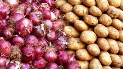 خرید توافقی، قیمت سیب‌زمینی و پیاز را در مزارع تثبیت کرد