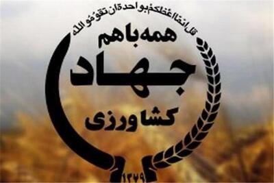 مدیر جدید جهاد کشاورزی خرم‌آباد معرفی شد