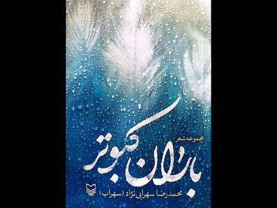 مجموعه‌شعر «باران کبوتر»‌ از محمدرضا سهرابی‌نژاد منتشر شد