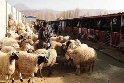 خطرناک‌ترین بیماری‌های مشترک انسان و حیوان