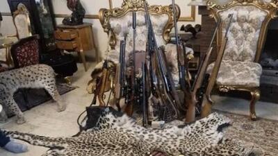 کشف محموله بزرگ حیوانات تاکسیدرمی و سلاح در تهران