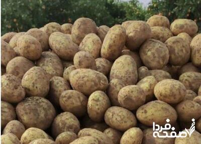 بررسی آخرین اخبار از بازار پیاز و سیب‌زمینی | بالاخره قیمت سیب‌زمینی کاهش یافت؟