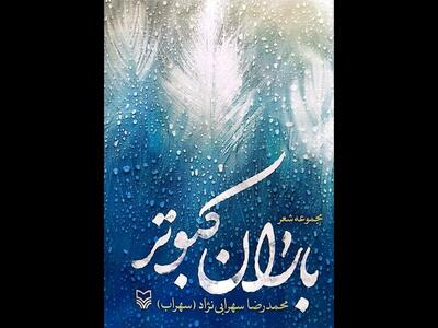 مجموعه‌شعر «باران کبوتر» از محمدرضا سهرابی‌نژاد منتشر شد