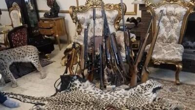 کشف محموله بزرگ حیوانات سلاح و مهمات در تهران