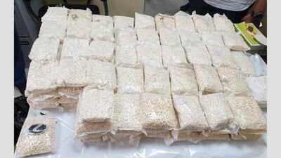 سوداگر مرگ با ۱۵ هزار قرص مخدر دستگیر شد