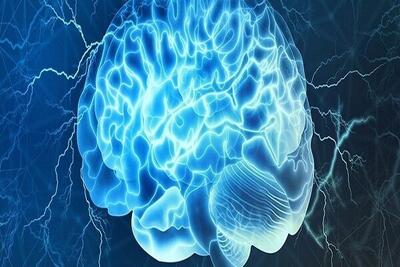 دلیل اینکه چرا افراد باهوش‌ تصمیمات بهتری می‌گیرند، فاش شد