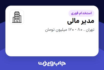 استخدام مدیر مالی در سازمانی فعال در حوزه تجارت / بازرگانی