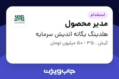 استخدام مدیر محصول در هلدینگ یگانه اندیش سرمایه