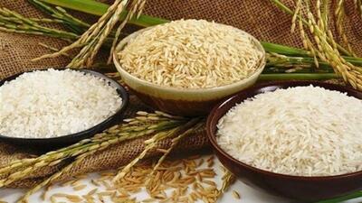 درخواست تمدید ممنوعیت واردات برنج در فصل برداشت