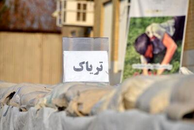 کشف ۱۱ کیلو تریاک آماده توزیع از یک قاچاقچی در جنوب تهران