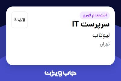 استخدام سرپرست IT در لیوتاب