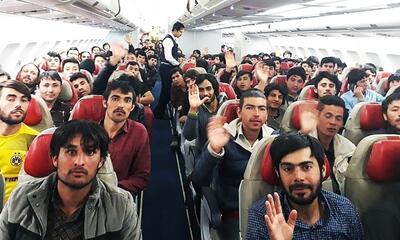 آمار عجیب از حضور مهاجران افغانستانی در بازار کار / چند درصد به کشورشان بازگشته‌اند؟