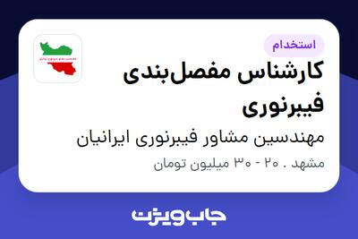 استخدام کارشناس مفصل‌بندی فیبرنوری - آقا در مهندسین مشاور فیبرنوری ایرانیان